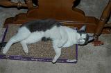 20030923_Kitty Kat_064